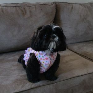 Meet your Posher, Brooke